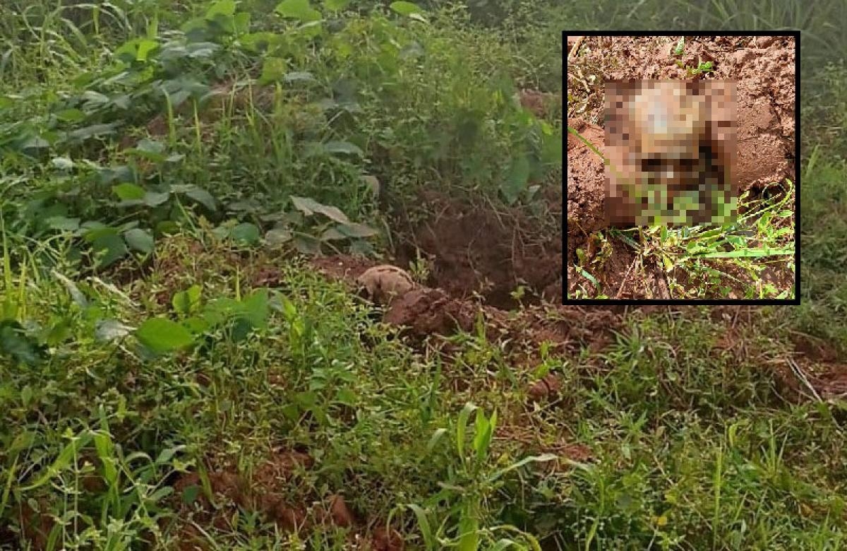 Ossada humana � encontrada nos fundos de creche em General Carneiro