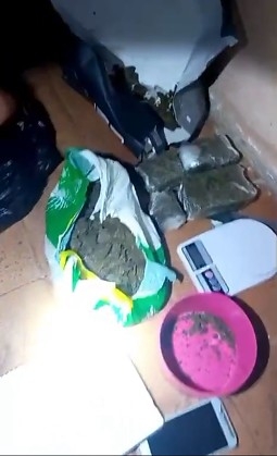 Traficante tenta usar pitbull para impedir a��o da PM, mas � preso em Cuiab�