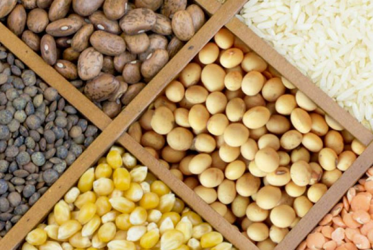 Safra 2023/2024 tem queda de 21,4 milh�es de toneladas, aponta Conab