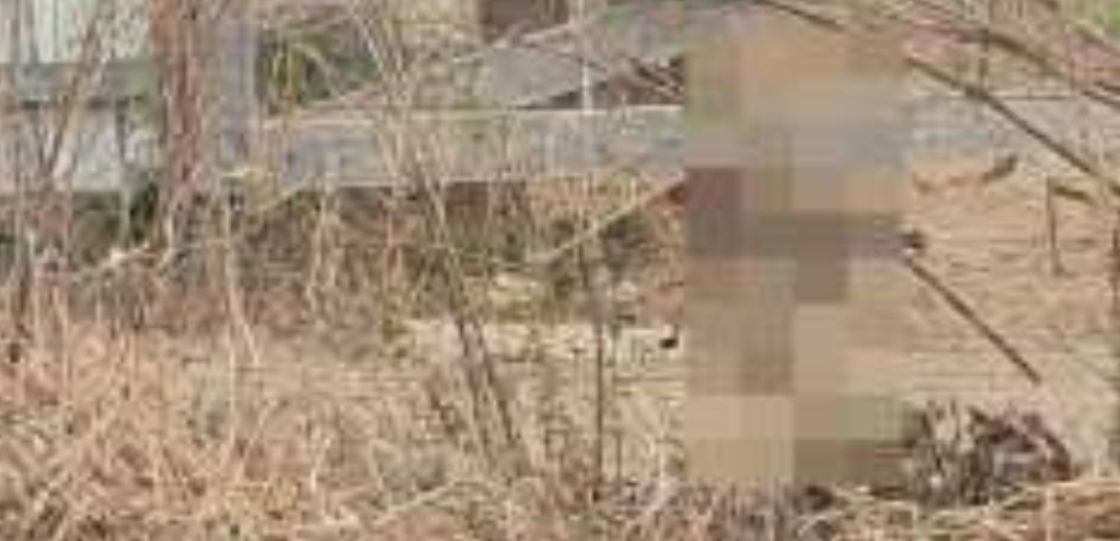 Mulher � encontrada morta com sinais de tortura em �rea rural de Apiac�s