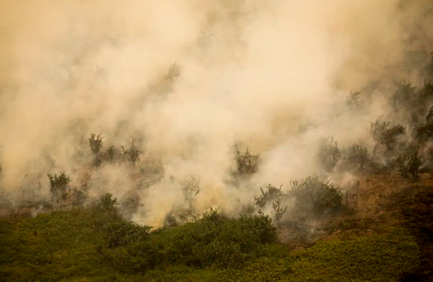 Brasil perde �rea equivalente � Para�ba em queimadas apenas em agosto