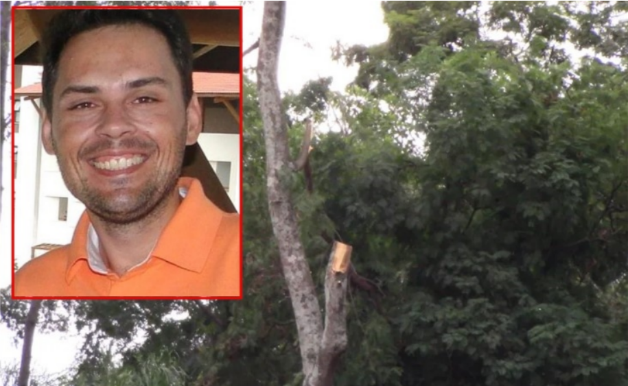 Empres�rio morre ap�s cair de �rvore durante poda em Sorriso