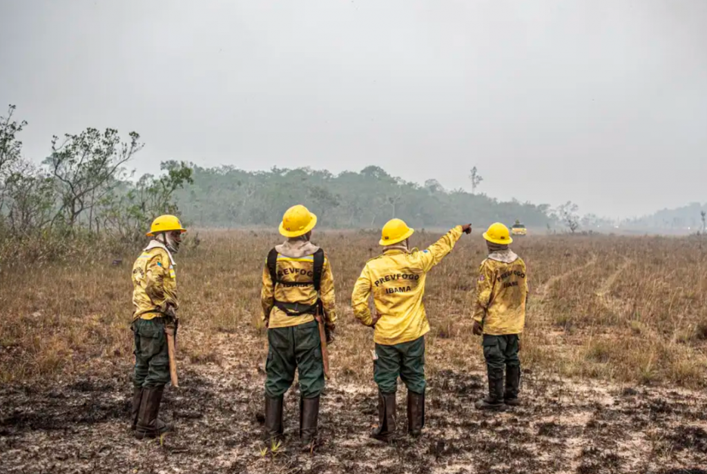 Dino estabelece or�amento de emerg�ncia para combate a inc�ndios