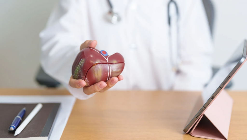 Estudo mostra como estresse pode levar � produ��o de glicose no f�gado