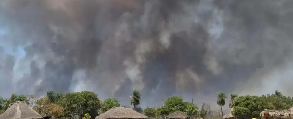 Ind�genas de MT lutam por sobreviv�ncia ap�s um m�s de queimadas