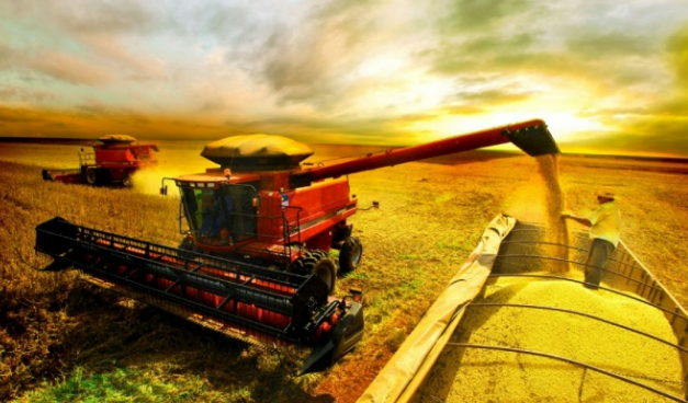 Produtores de soja e milho enfrentam desafios com altos custos e baixa rentabilidade em Mato Grosso