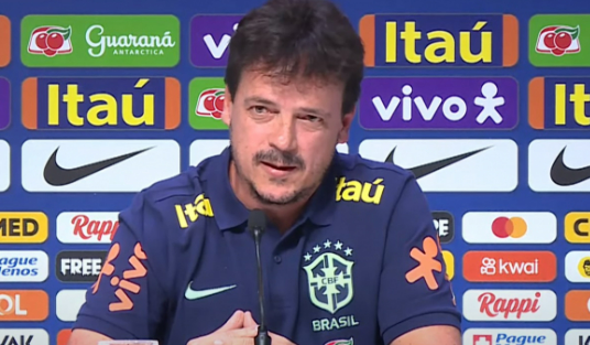Cruzeiro anuncia Fernando Diniz como novo tcnico