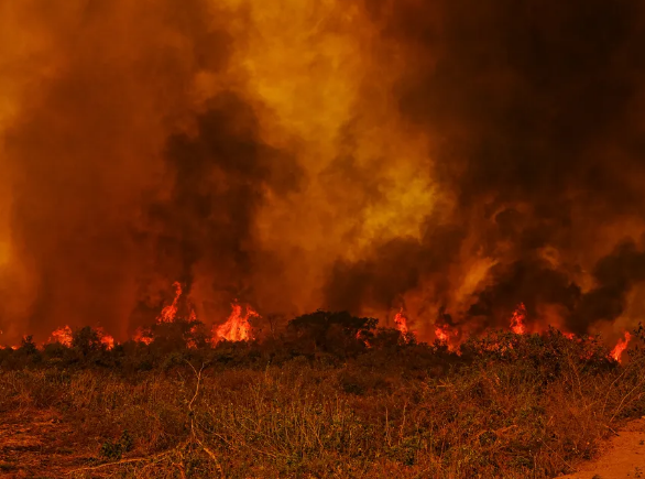 Colniza � o sexto munic�pio com mais focos de inc�ndio no Brasil desde 2003, aponta levantamento