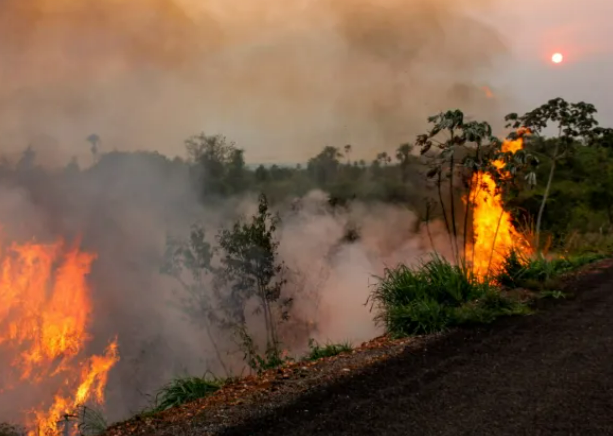 Queimadas devastam �rea equivalente a 10 cidades de Cuiab� em Mato Grosso em setembro