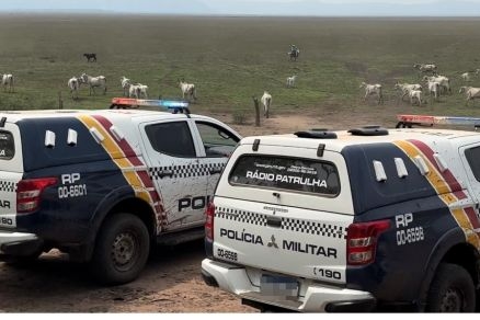 Juiz ordena devolu��o de gado pertencente a cooperados