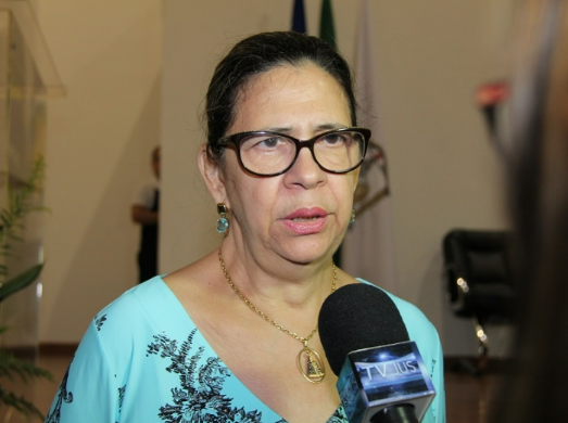 Duas pessoas s�o presas durante elei��es municipais em Mato Grosso