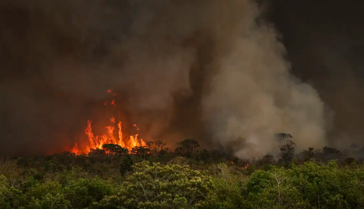 Brasil tem 22,38 milhes de hectares atingidos pelo fogo em nove meses