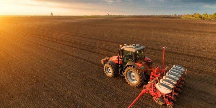 Plantio de soja em MT alcan�a 98,39% da �rea, afirma Imea