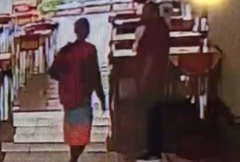 Homem tenta roubar cachorro e agride tutor com socos no rosto, no DF