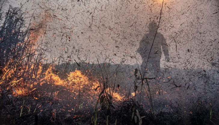 Focos de inc�ndios no Brasil j� s�o 76% maiores que em 2023