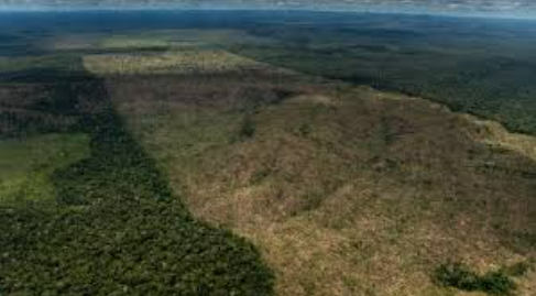 MPF instaura procedimento para garantir recuperao ambiental em propriedade de Cceres