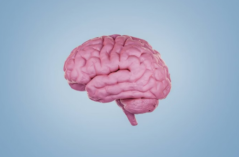 Depresso altera regio do crebro ligada  ateno, sugere estudo