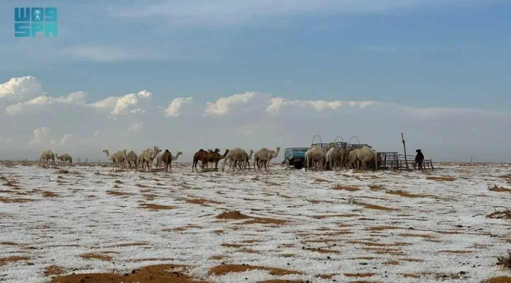 Deserto na Arbia Saudita registra neve pela primeira vez