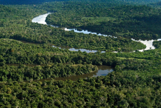 Noruega Doa US$ 60 Milh�es ao Fundo Amaz�nia em Reconhecimento a Esfor�os de Preserva��o