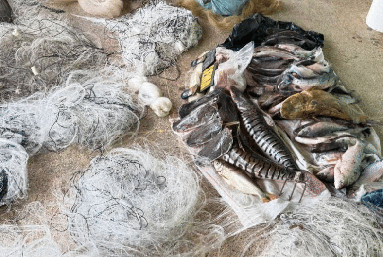 Fiscaliza��o apreende 43 kg de pescado durante per�odo de piracema em Mato Grosso