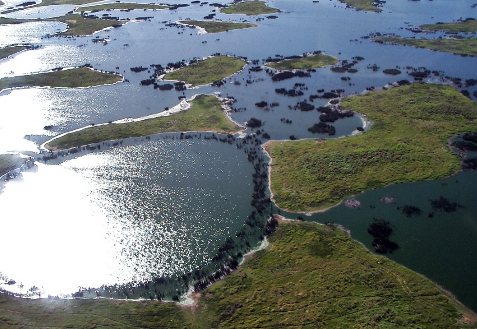 Pantanal pode perder t�tulo de Patrim�nio Natural da Humanidade devido � degrada��o ambiental