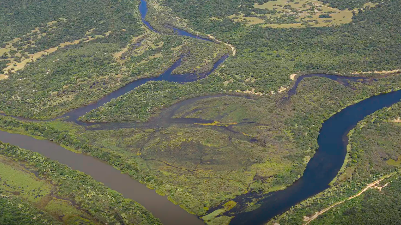 Maior parte da Mata Atl�ntica tem menos de 30% de vegeta��o nativa