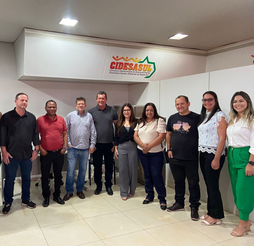 Cidesasul divulga edital para elei��o do conselho diretor do Bi�nio 2025/2026