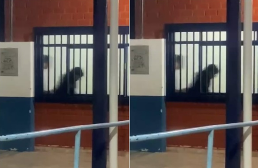 Vdeo de casal em ato sexual em escola de Sinop gera escndalo nas redes sociais