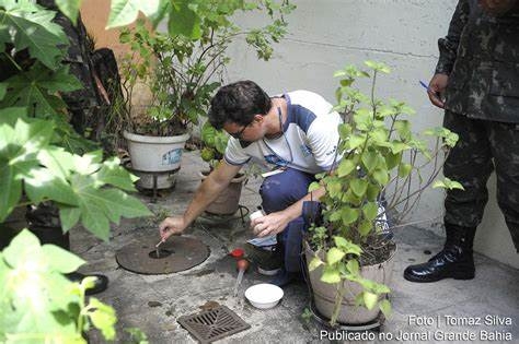 Dia D contra dengue promove a��es de conscientiza��o em todo o Brasil