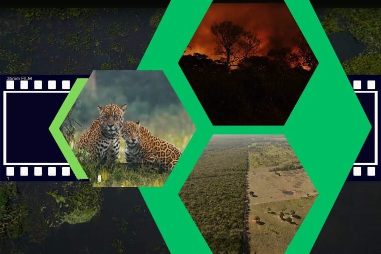 MPMT exibe documentrio sobre o Pantanal nesta quinta-feira