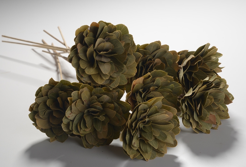 Artes�s da regi�o Centro-Oeste ganham destaque em uma das maiores feiras de artesanato da Am�rica Latina