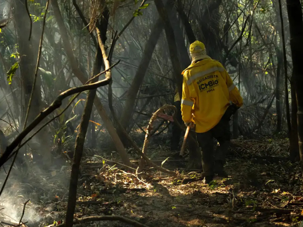 Amaz�nia tem o maior n�mero de queimadas e inc�ndios em 17 anos