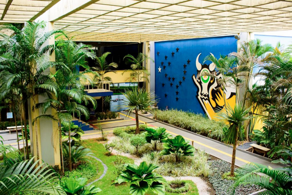 Mato Grosso e mais 3 Estados ir�o fechar 2024 no �azul�, aponta federa��o