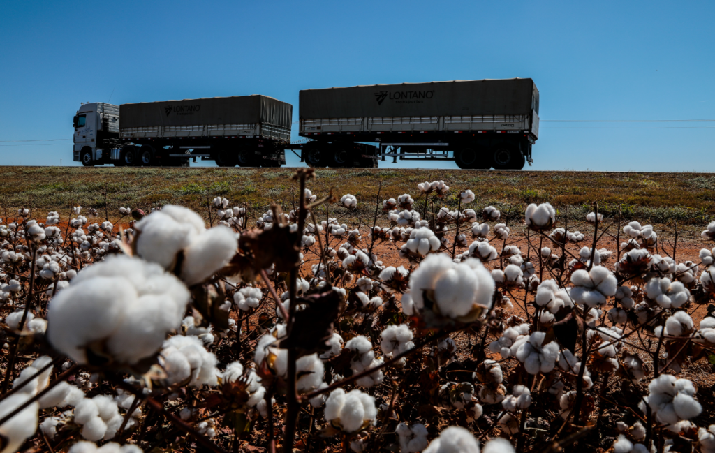 MT exporta US$ 25,95 bilh�es em produtos para 157 pa�ses entre janeiro e novembro