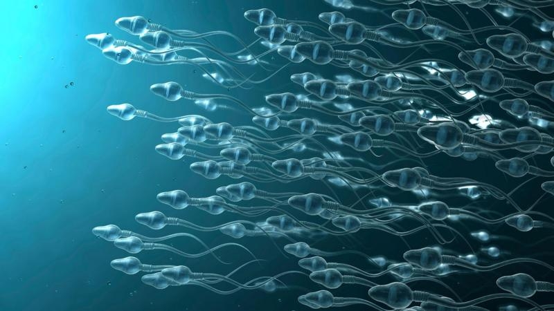 A Ejacula��o Pode Reduzir o Risco de C�ncer de Pr�stata? Novas Pesquisas Apontam Que Sim