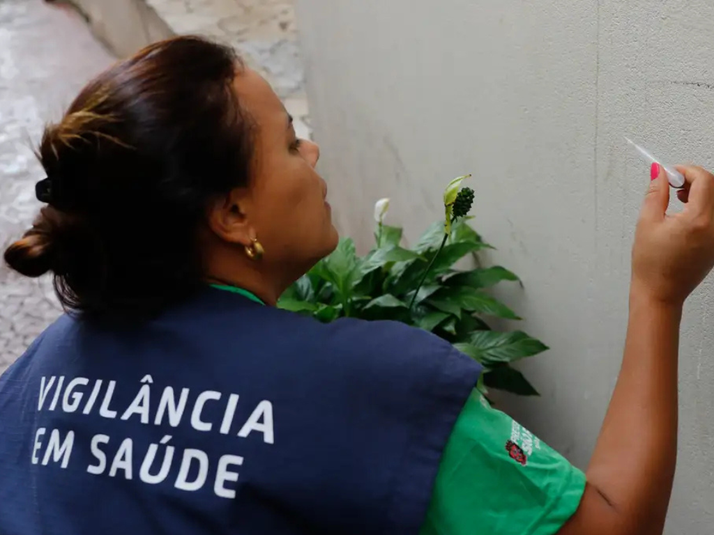 Casos de dengue em 2024 passam de 6,4 milh�es; mortes somam 5,9 mil