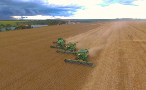 PIB de Mato Grosso deve crescer 4,1% em 2025 impulsionado pelo agroneg�cio