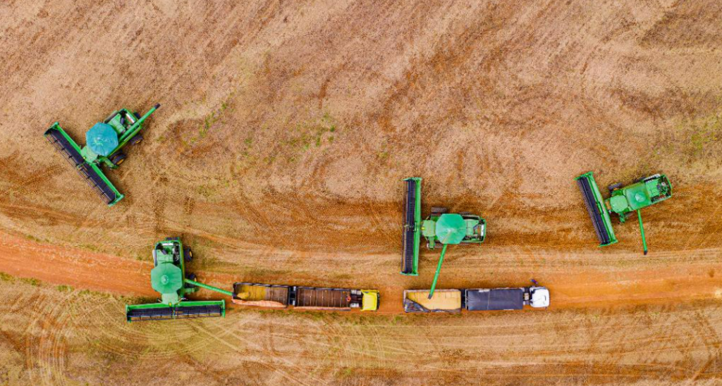 Produ��o de gr�os em MT deve alcan�ar 97,3 milh�es de toneladas na safra 2024/2025