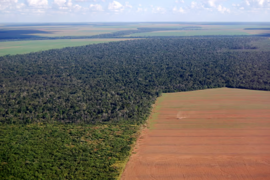 Projeto de lei em MT amea�a mais de 5 mil hectares da Amaz�nia, alertam especialistas