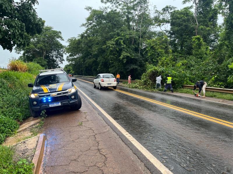 Chuva causa deslizamento de terra, queda de �rvores e deixa tr�nsito lento na serra