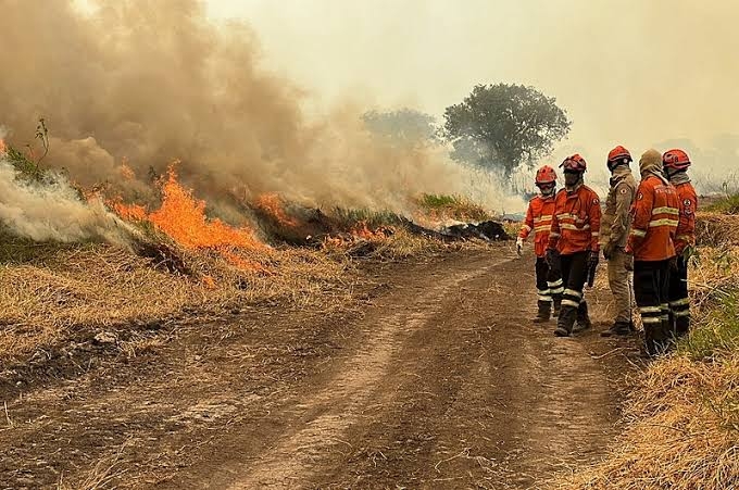 EMERG�NCIA AMBIENTAL � DECRETADA EM MT PARA INTENSIFICAR PREVEN��O E COMBATE AOS INC�NDIOS FLORESTAIS