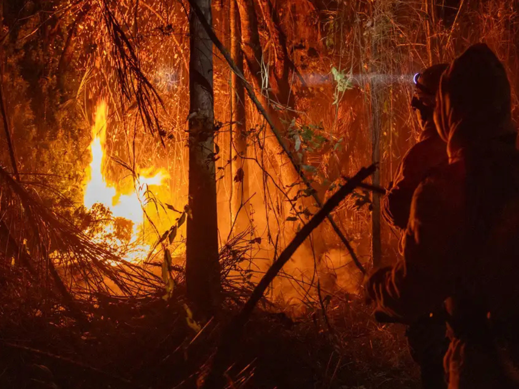 Brasil registra em 2024 aumento de 79% de �reas queimadas