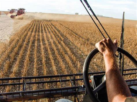 China suspende compra de soja de 5 exportadoras brasileiras