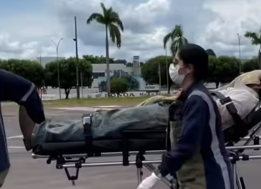 Trabalhador rural � resgatado ap�s levar mais de 300 picadas de abelhas em Tabapor�