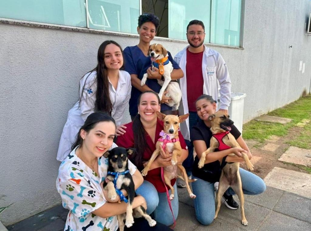 Projeto do Hospital Regional de Sinop leva c�es para ajudar no tratamento de de crian�as internadas