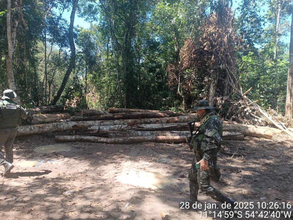 Batalh�o Ambiental det�m dupla e apreende m�quina e toras de madeiras extra�das ilegalmente