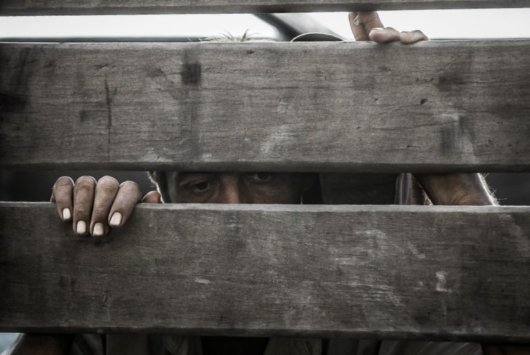 Justi�a mant�m nome de fazendeira de MT na �lista suja� do trabalho escravo 