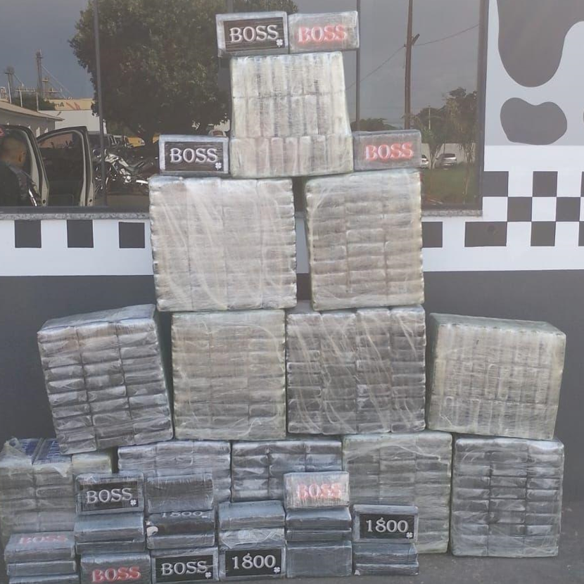 For�a T�tica prende suspeitos envolvidos na apreens�o de 600 quilos de coca�na em MT