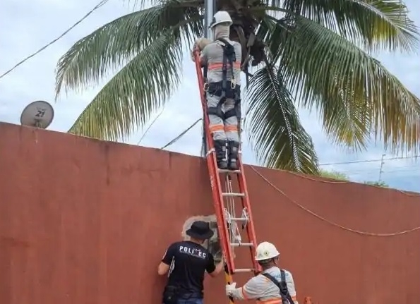 Empres�ria e PM s�o presos em MT por fazer 