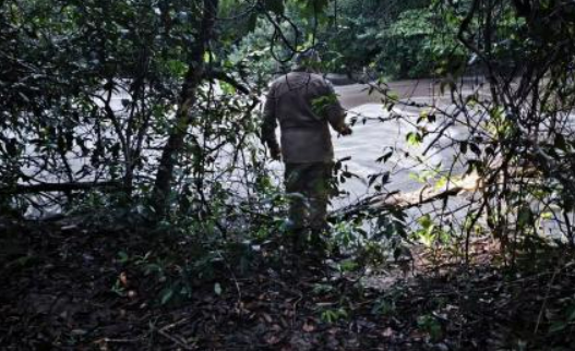 Corpo de mulher que desapareceu aps cair em rio  encontrado